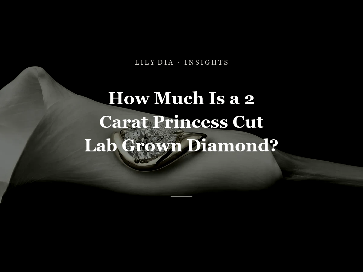 How Much Is a 2 Carat Princess Cut Lab Grown Diamond? title cover by Lily Dia Jewellery